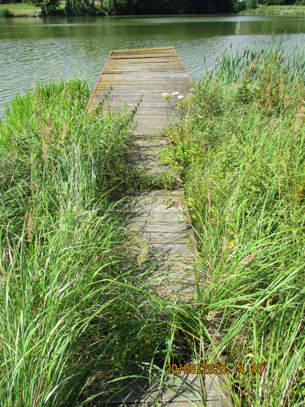 Kachlička - Foto č. 3