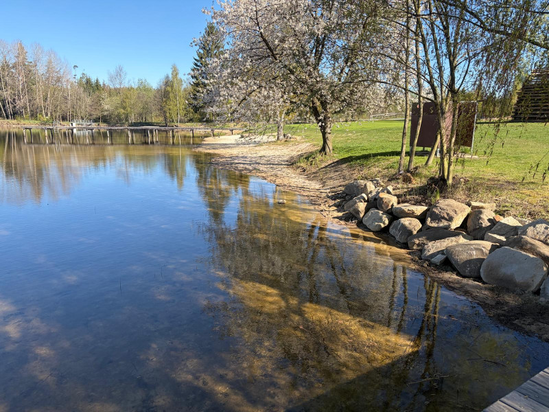 Pařezáč (Plačkovský rybník) - Foto č. 2