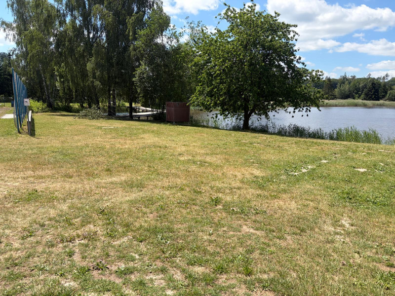 Pařezáč (Plačkovský rybník) - Foto č. 17