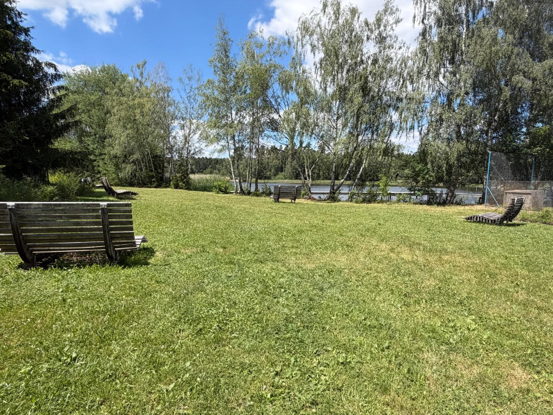 Pařezáč (Plačkovský rybník) - Foto č. 22