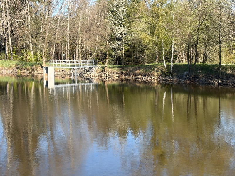 Pařezáč (Plačkovský rybník) - Foto č. 8