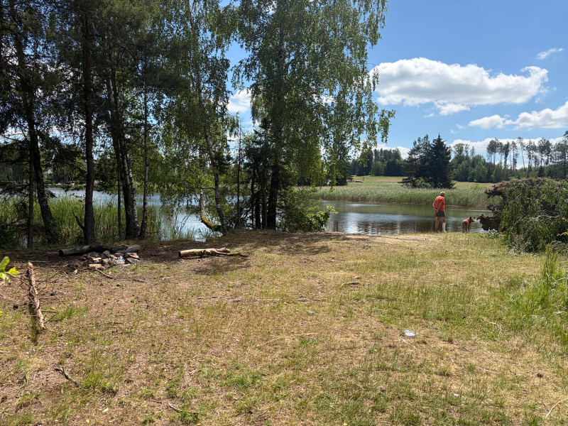 Pařezáč (Plačkovský rybník) - Foto č. 12