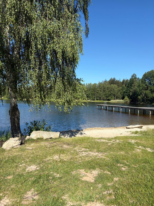 Pařezáč (Plačkovský rybník) - Foto č. 10