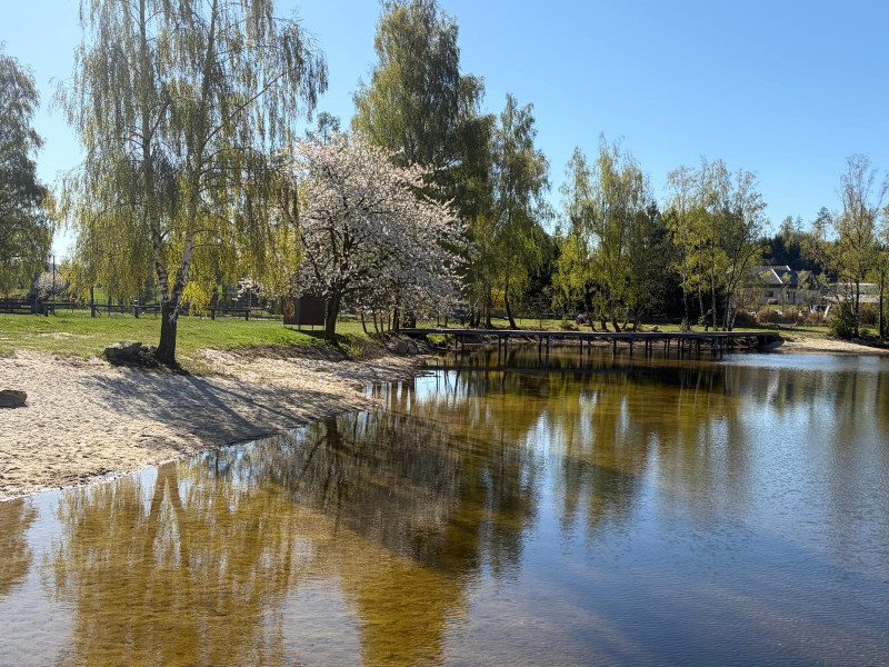 Pařezáč (Plačkovský rybník) - Foto č. 7