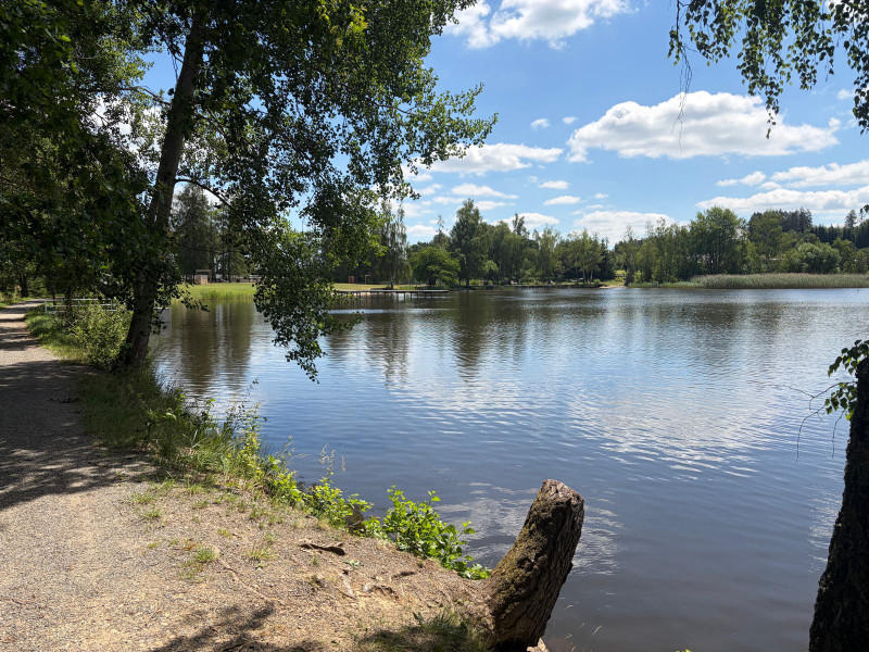 Pařezáč (Plačkovský rybník) - Foto č. 13